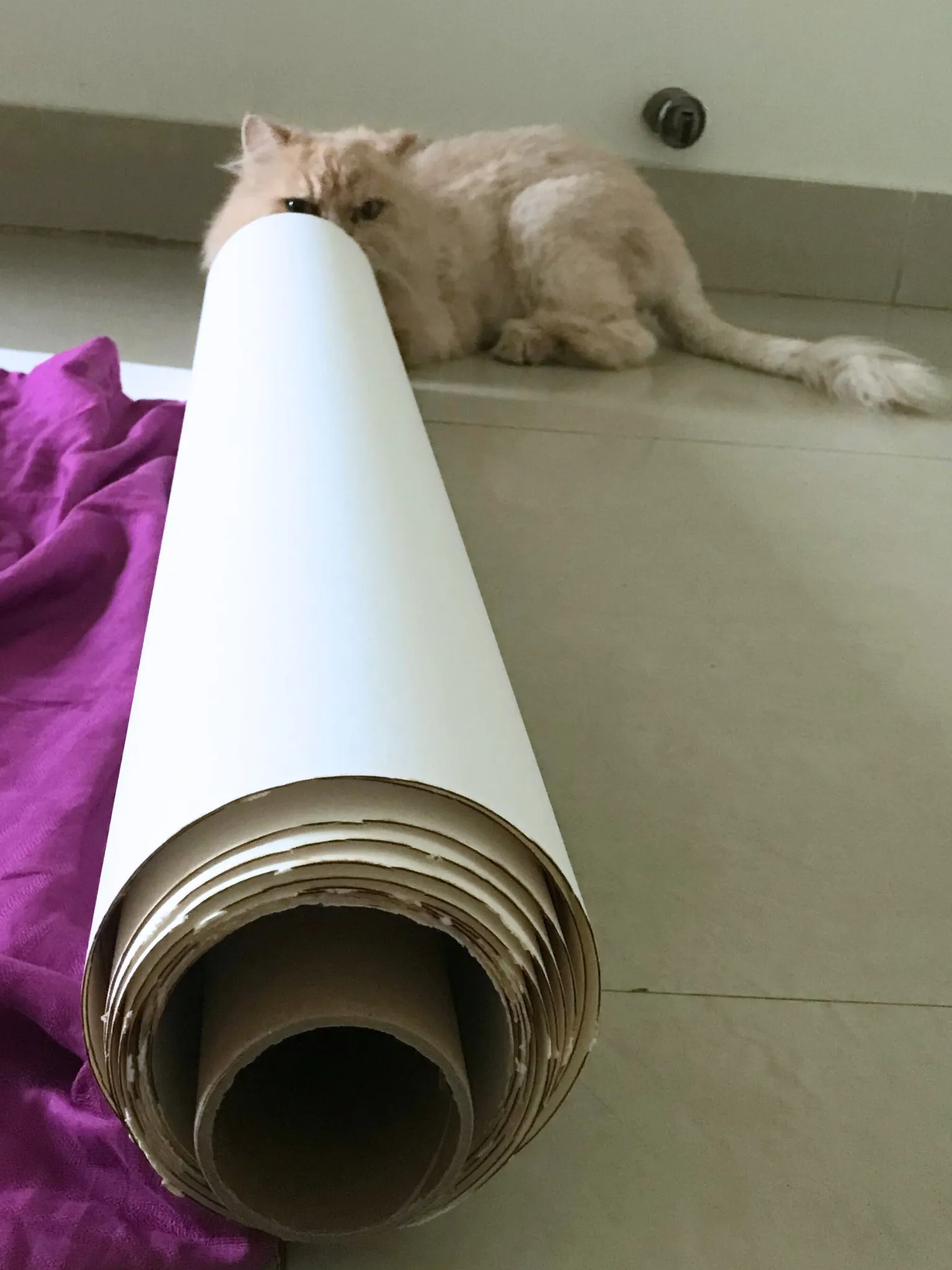 Image 5 from Aik Saath