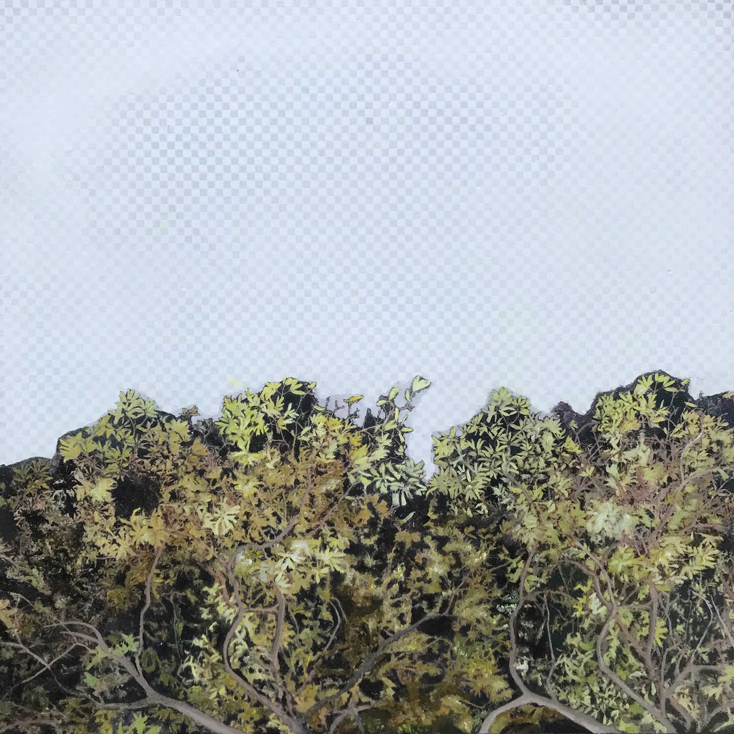 Amid the Dark Sky - Oil on Wood - 1’ x 1’