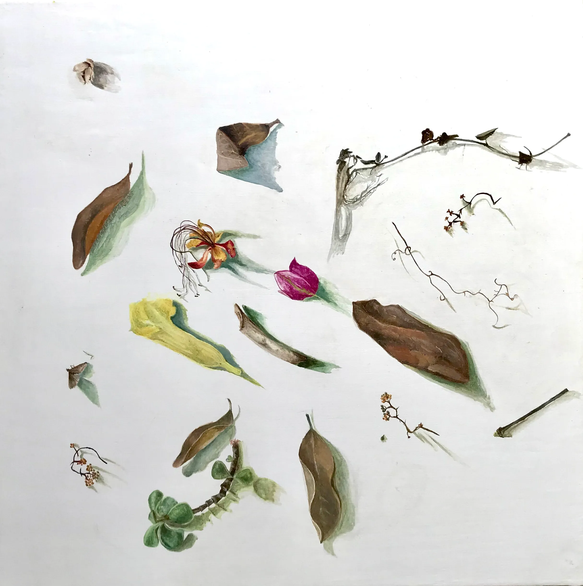 Assortments - Oil on Wood - 1’ x 1’