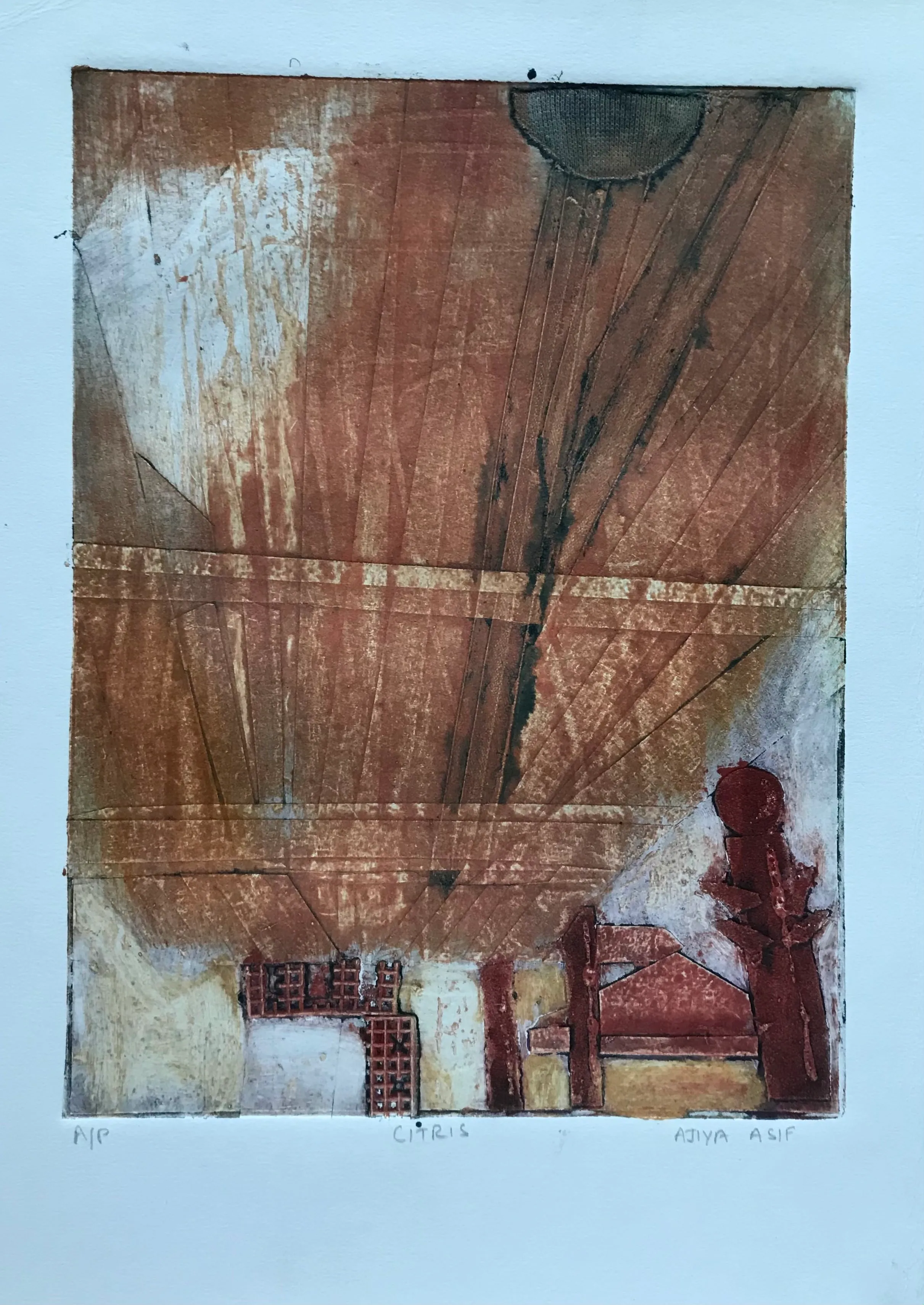 Citrus - Collagraph - AP - 1.5’ x 1’