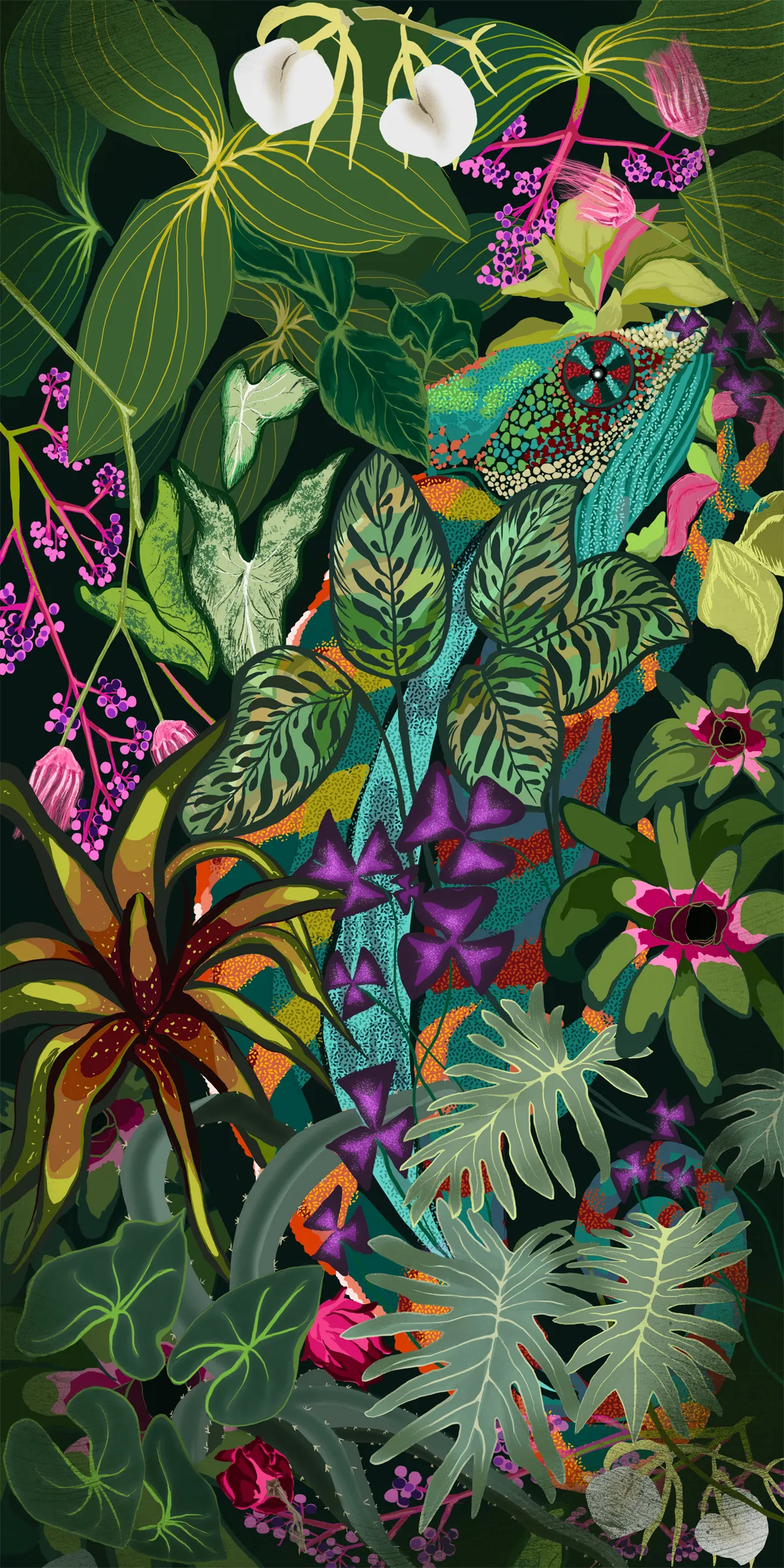 Lincoln Park Conservancy - Animal Illustration