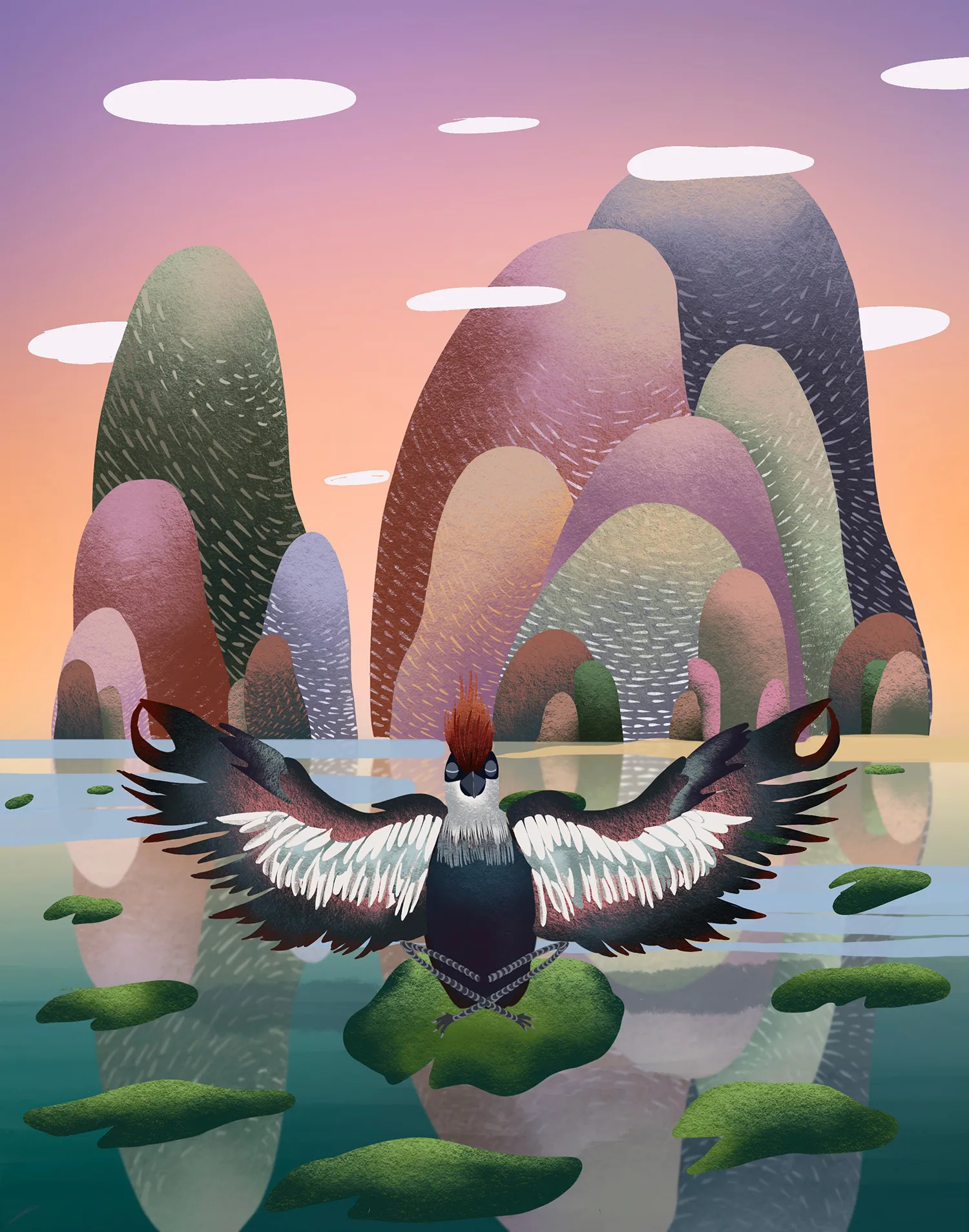 Meditation - Animal Illustrations