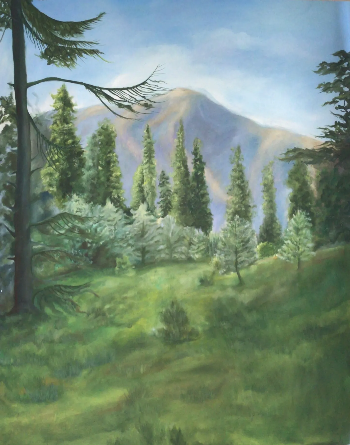 Nathia Gali - Oil on Canvas - 5’ x 4’