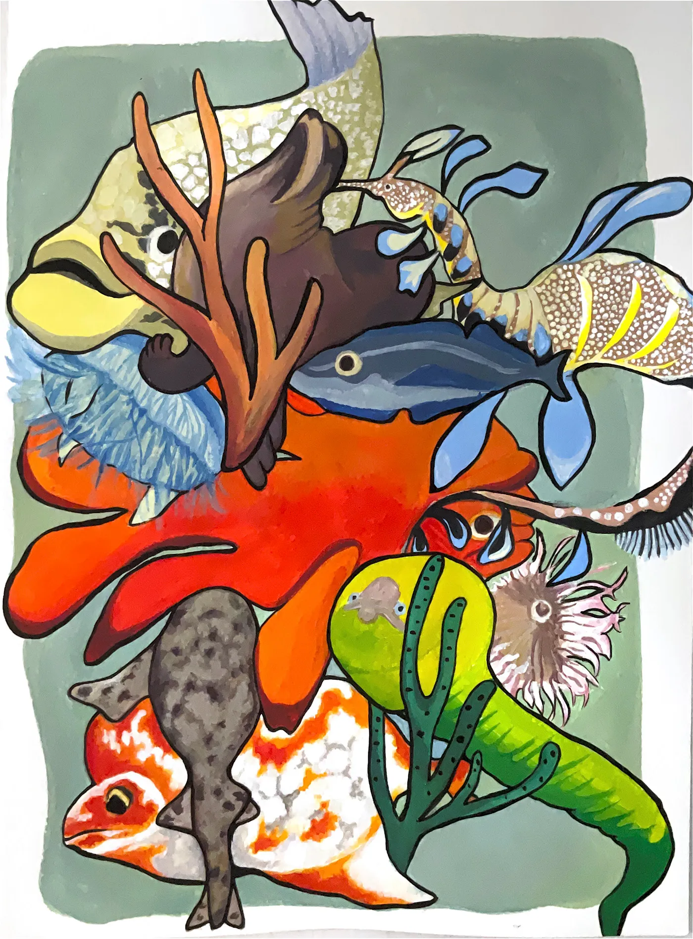 Shedd Aquarium - Marine Life Illustration - Gouche on Paper