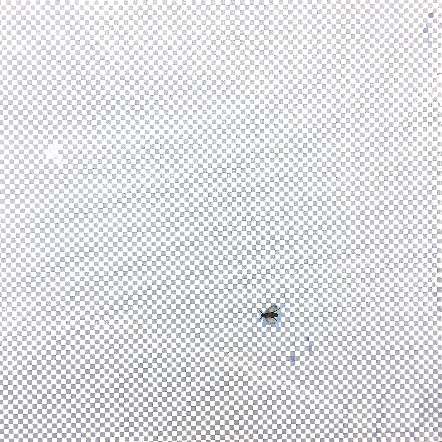 Tiny - Oil on Canvas - 1’ x 1’