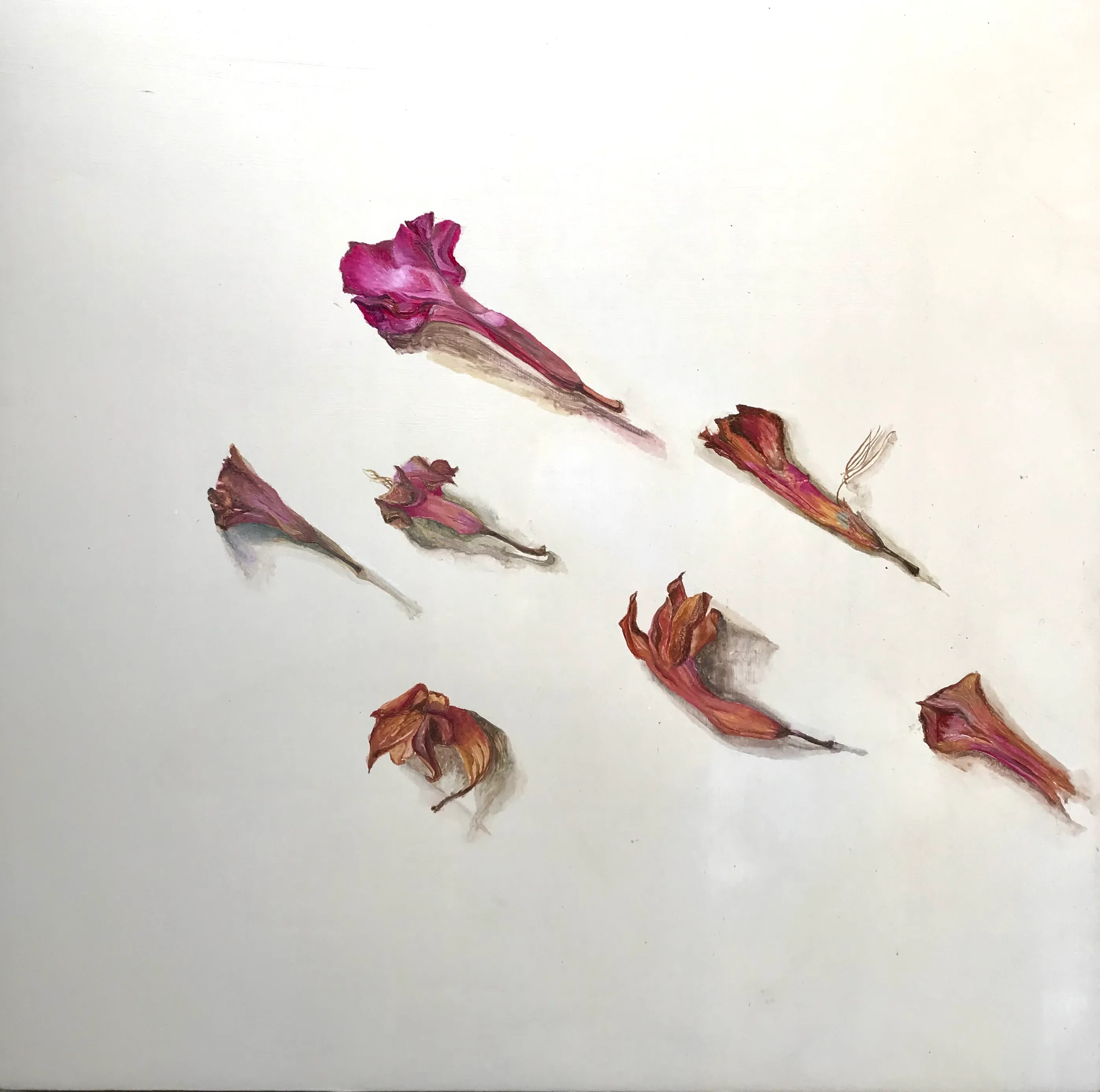 Unwanted - Oil on Wood - 1’ x 1’